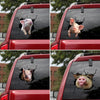 6pcs/Set Creative Broken 3D Pig Car Stickers