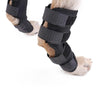 DogLemi PD60041 Dog Hock Brace Pet Supportive Rear Dog Compression Leg Joint Wrap Protects Wounds and Injury, Size:XL