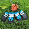 Waterproof Dog Shoes, Non-Slip & Durable, Large (Blue)