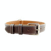 Leather Dog Collar, Medium (42cm), Complexion