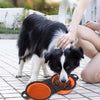 Collapsible Dog Travel Bowl, Silicone, Double, Orange