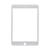 iPad Mini 5 Screen Replacement Glass (White) A2124/A2126/A2133