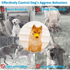 Silicone Dog Muzzle, Small, Blue - Anti-Bark Bite, Breathable