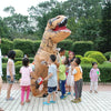 Inflatable Dinosaur Adult Costume Halloween Inflated Dragon Costumes Party Carnival Costume for Women Men(Green)