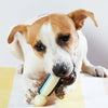 Durable Nylon Dog Chew Toy with Treat Dispenser - Large