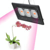 150W  Ultra-Thin LED Plant Light, Full Spectrum COB Growth Light, Vegetable, Fruit & Flower Greenhouse Fill Light Without Plug