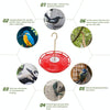 Red Hanging Hummingbird Feeder - Outdoor Garden Patio