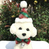 Pet Christmas Hat & Bow Tie Set - Dog/Cat Holiday Accessory