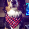 Christmas Snowflake Dog Towel, Red, Small (22-38cm Neck)