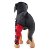 HJ19 Pet Surgery Rehabilitation Back Leg Protector Walking Aids, Size: XS(Red Left Back Leg)