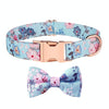Rose Gold Buckle Dog Collar, Blue, M (33-50cm)