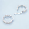 S925 Sterling Silver Simple Fine Flash Zircon Earrings