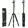 ZOMEI Z688 Portable Professional Travel Magnesium Alloy Material Tripod Monopod with Ball Head for Digital Camera