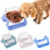 Elevated Cat & Dog Bowl Green - Tilted for Easier Eating