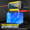 FOXSUR Cars Motorcycles 12V Lithium Cattery Charger With Battery Detection(US Plug)