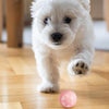 Motorised Rolling Ball Cat Toy (Yellow) - Rechargeable, Automatic