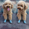 HCPET Dog Shoes, Waterproof, Green, Size 5, Non-Slip, Paw Protection