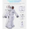 JJR/C R18 Gesture Sensing Remote Control Robot(Silver)