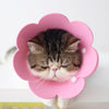 Soft EVA Recovery Collar for Pets (Pink, Small 15-21cm)