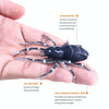 HENGJIA 8cm 7g Lua Spider Soft Bait Bionic Mimic Bait, Color: 3