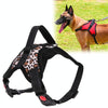 Leopard Dog Harness, Size M - No Pull, Breathable, Comfort Fit