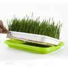 5 PCS Bean Sprout Germination Tray Soilless Culture Seedling Pot(Green)