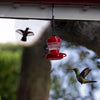 Hanging Wild Bird Feeder - Red - Detachable & Easy Clean