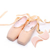 Ballet Lace Pointe Shoes Professional Flat Dance Shoes, Size: 40(Canvas + Silicone Case)