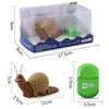 7701 Children Electric Infrared Remote Control Snail Simulation Tricky Pet(Brown)