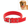 Red Padded Dog Collar, Medium/Large, Adjustable (46-55cm)