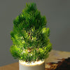 Christmas Tree Night Lights Bedroom Pine Ambient Lamps Home Decorative Lights(Warm White Light)