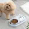 Pink Pet Feeder with Automatic Waterer - Stainless Steel Dog & Cat Bowls
