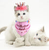 Pet Birthday Crown & Scarf Set, Pink, Cat/Small Dog