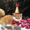 Christmas Pet Hat & Bow Tie Set - Sequined, Cats/Small Dogs