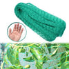 4Mx5M  Anti Bird Protection Net Mesh Garden Plant Netting Protect Plants and Fruit