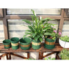 2 Gallon Flower Pots Plant Nursery Pots Plastic Pots Creative Gallons Pots with Tray,Size:21.5*21*21cm