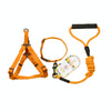 Dog Collar, Harness & Leash Set, Orange, M (15kg, 43-67cm Chest)