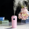 Small-3 2W Humidifier Moisture Meter Moisturizing Instrument with LED Night Light, Water Tank Capacity: 260ml(Pink)
