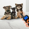 Dog Training Collar, 2 Dogs, Remote, Waterproof, 800m Range (Red)