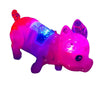 Cute LED Luminous Music Electronic Pet Children Educational Toys, Random Color