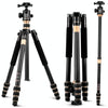 QingZhuangShiDai Q222C SLR Camera Carbon Fiber Portable Travel Tripod(Black)