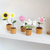 5pcs /Set Small Potted Plant Crochet Starter Kit for Beginners with  Step-by-Step Video Tutorials