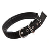 Black Dog Collar, Padded, Adjustable, Large (46-55cm)