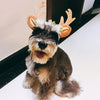 Christmas Antler Headband for Dogs & Cats (S)