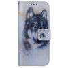 For Realme 13+ Global Coloured Drawing Flip Leather Phone Case(White Wolf)