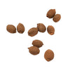 10 PCS 1:12  Mini House Toy Fruit Simulation Kiwi Kitchen Accessory Mini House Toy(Brown)