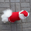 Christmas Dog Cloak & Hat Costume Set | Small Pets