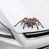 Creative Personality Scratch Cover  Car Body Sticker(Spider Pair)